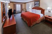 Country Inn & Suites By Radisson Amarillo I-40 W image 3